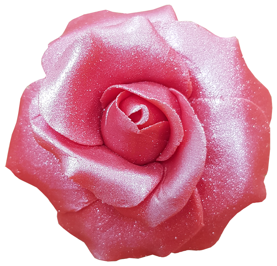 Shimmery Pink Rose