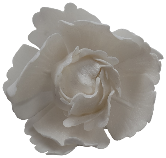 White Rose Plain
